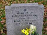 image of grave number 437934